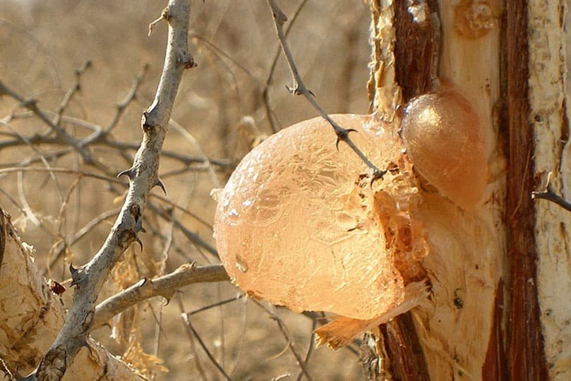 Harvesting Machinery